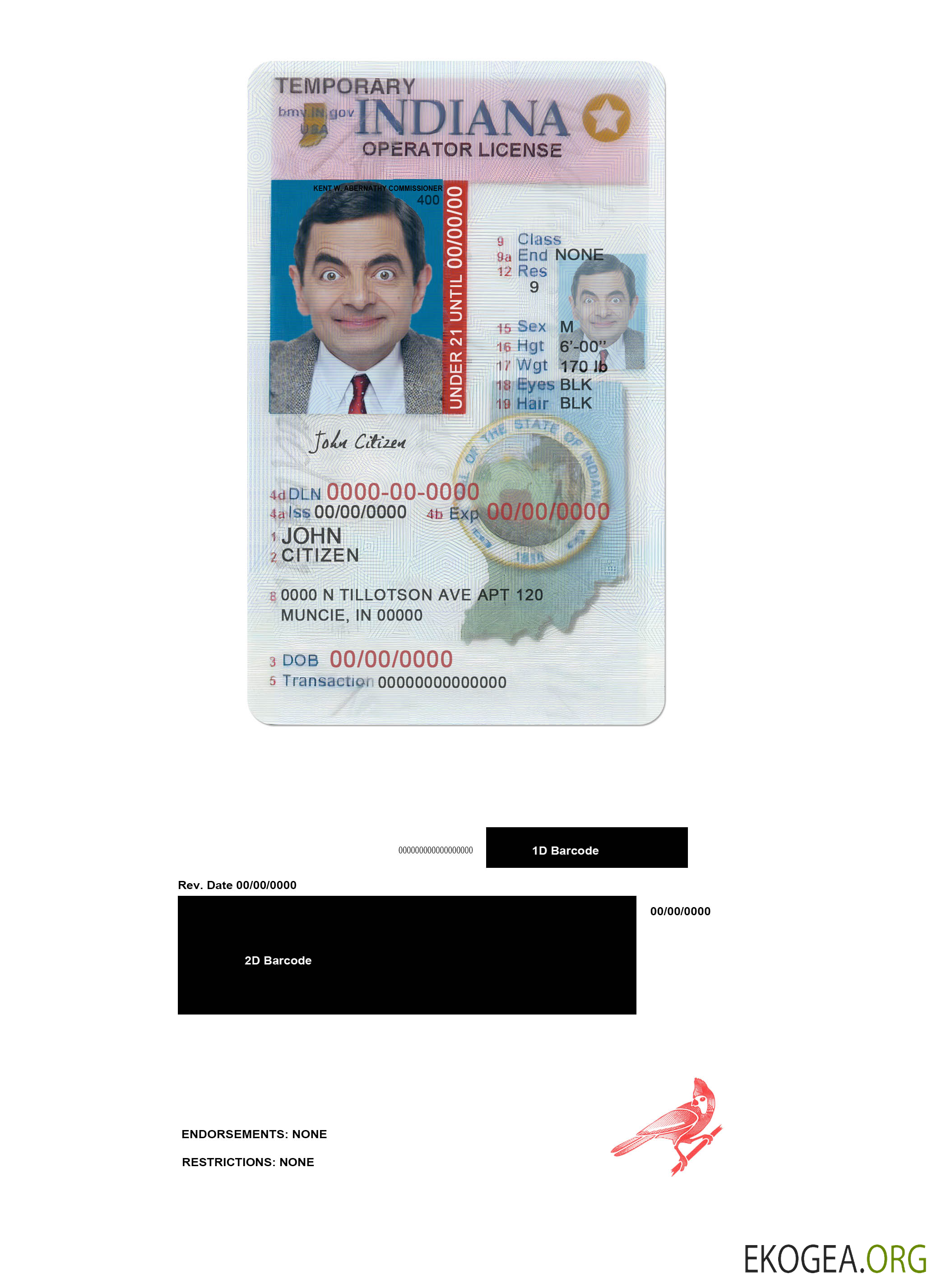 USA Indiana driving (operator) license under 21